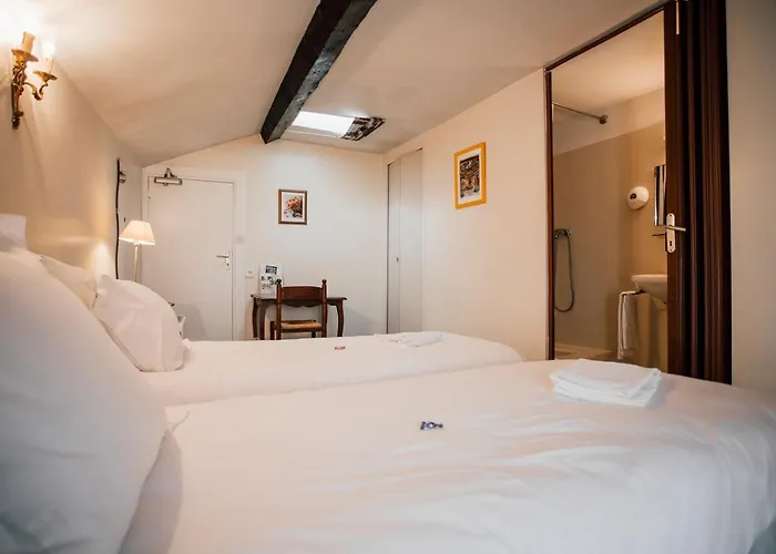 Hôtel accueillant les animaux: Logis Hotel Saint Clair