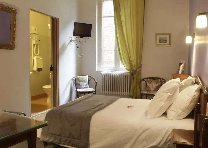 Hôtel accueillant les animaux: Logis Hotel Saint Clair